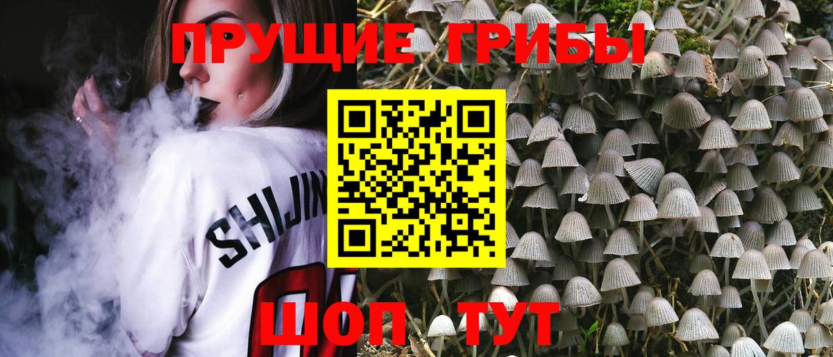 Галлюциногенные грибы мухоморы  Вход с VPN  Кохма 
